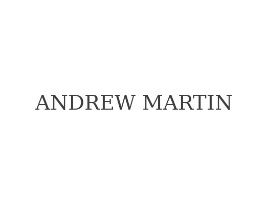 Andrew Martin